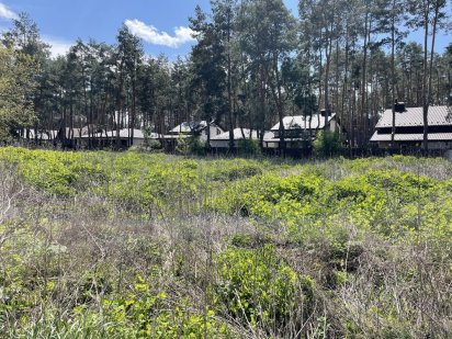 ділянка 5,5 соток в Лісовій Бучі. Ціна знижена.