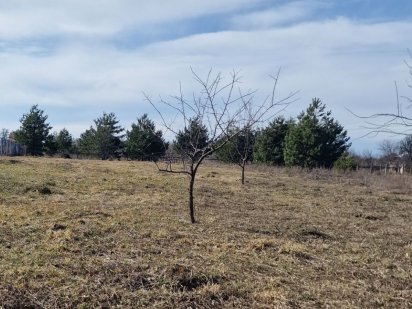 Буча , Земельна ділянка  15 сот