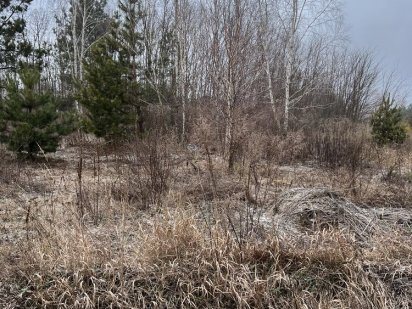 ТЕРМІНОВО! Земельна ділянка Бровари