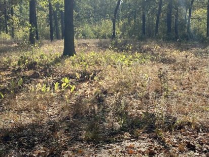 Продаж! Ділянка  16 соток з усіма комунікаціями!