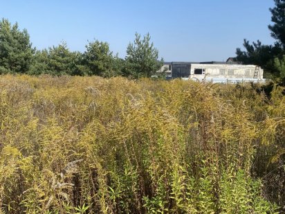 Продам участок в Броварском р-н 10 сот Бровари