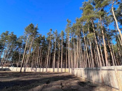 Продам земельну ділянку в Лісовій Бучі 20соток Липківського 45м×45м