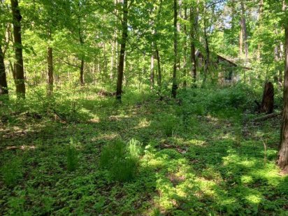 Ділянка під будинок серед курортної зони, гарна природа