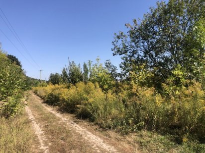 Крюківщина  2 ділянки по 6 соток