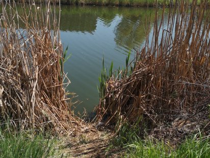 Участок земли под строительство Центально-городской район Кривий Ріг