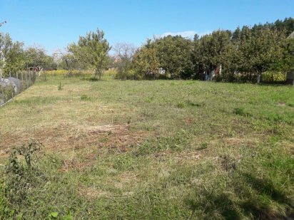 Терміново земельна дачна ділянка. Луцьк