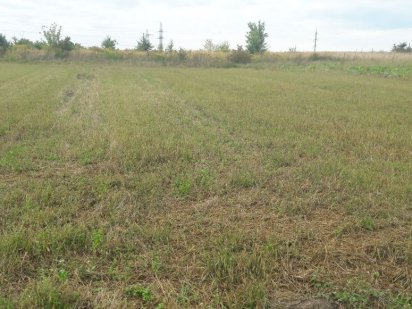 Продаж земельної ділянки Луцьк