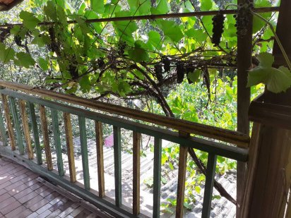 Продаж земельної ділянки з дачним будиночком вул.Сташкова Кривий Ріг