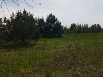 Продам земельну ділянку під будівництво .Бородянка,Дружня. Ирпень