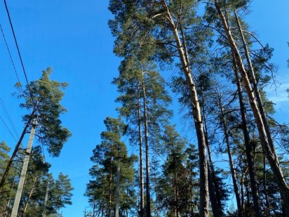 Земельна ділянка в Ірпіні, 20 соток. Ирпень