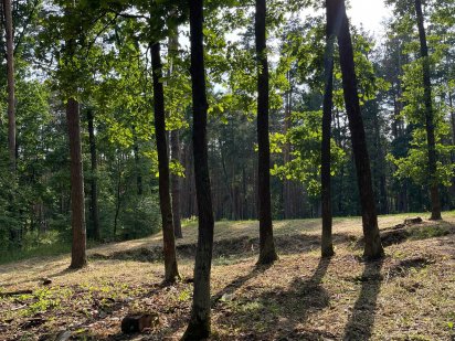 Продам Участок 12соток с Электрикой В Эксклюзивном Месте ЗаповедныйЛес Ірпінь