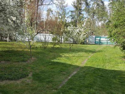 Продаж ділянки 13,17 соток з стареньким будиночком, у Лісовій Бучі