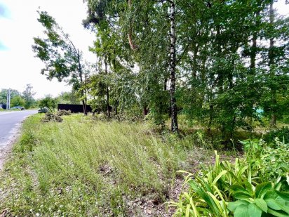 Продаж Ділянки , Лісова Буча