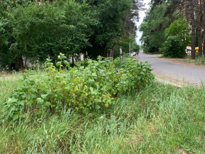 Терміново!!! Продаж ділянки 23 сотки під будівництво