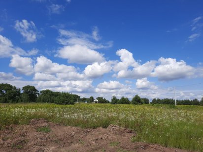 Отличный участок возле леса, без комиссии! Бровари