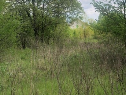 Продам ділянку Бровары