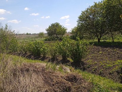 Земельна ділянка в Борисполі Бориспіль
