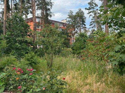 Земельна ділянка в Бучі, вул.Михайловського, 5 або 10 або 13 соток.