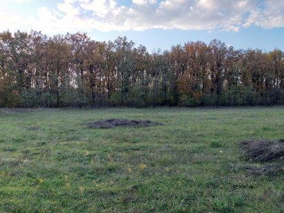 Продам приватизированный участок земли на берегу водохранилища Кривой Рог