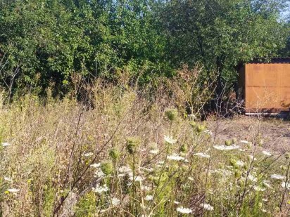 Дачный учясток в кооперативе