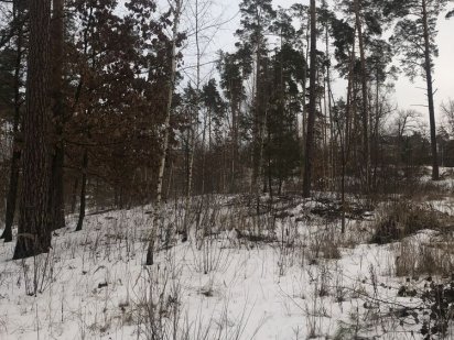 Продам ділянку 11.8 соток в закритому котеджному містечку Ірпеня Ірпінь