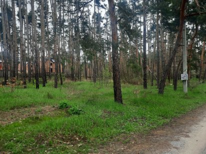 Ділянки по 10соток під забудову