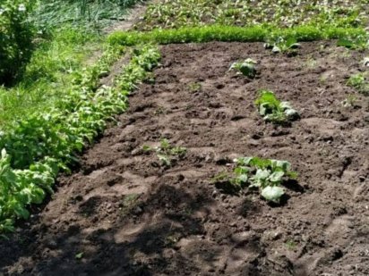 Дачний участок Сади 2