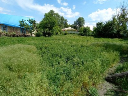 Продаж кутової ділянки 14 соток, біля Бучанського Парку Ірпінь