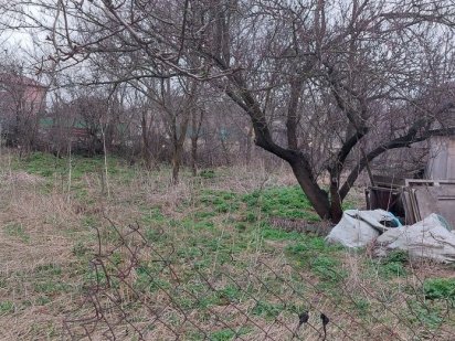 Буча, СК Берёзка.