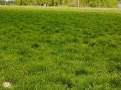 Дiляка пiд забудову бiля Киева Бровары