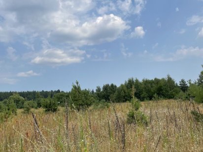 участок Зеленая Поляна 3 Бровари