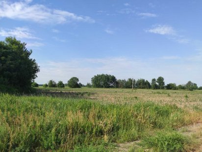 Бориспіль-Лозівка 2Га під забудову! Гарне місцерозташування! Бориспіль