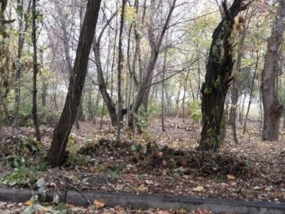 Продам участок земли Кривий Ріг