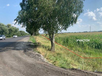 Борисполь фасадный участок от 1га до 1.7 га Пром.назначение Бориспіль