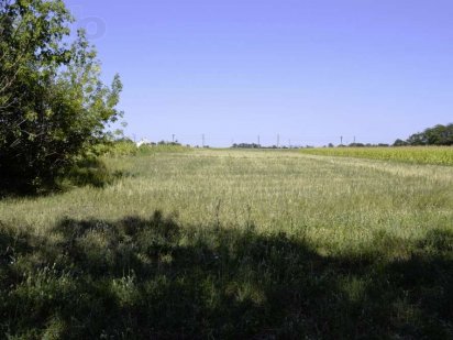 Продам (или обменяю на автомобиль, недвижимость) два земельных участка Кривий Ріг