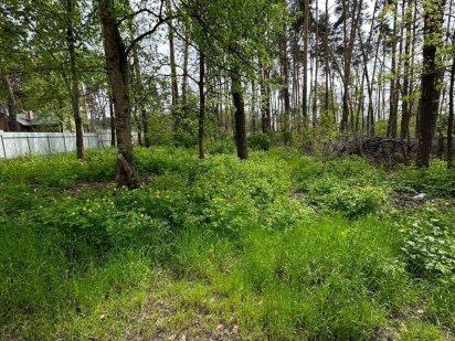 Продаж земельної ділянки в Лісовій Бучі.