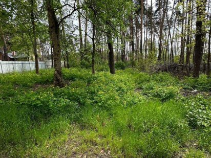 Земельна ділянка в Лісовій Бучі