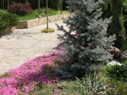 Земельна ділянка