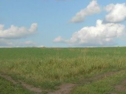 Земельный участок под овощи,  пай 15га, Никополь