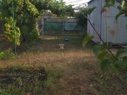 Продам два дачных участка Кривий Ріг