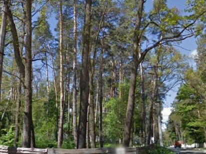 Продаж ділянки 24 сотки біля Бучанського парку