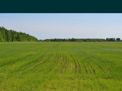 Продам землю 12.4 га Зеньков