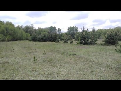 Земля в Вакуленцях Полтава