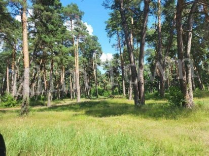 Продається земельна ділянка в р-ні «зони відпочинку»