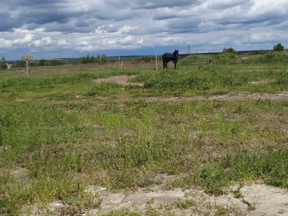 Ділянки від 177 соток по 475$ за сотку в межах міста Буча