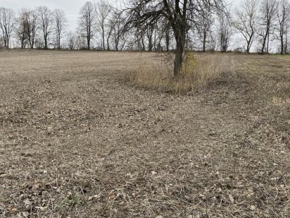 Земельна ділянка 34 сотки