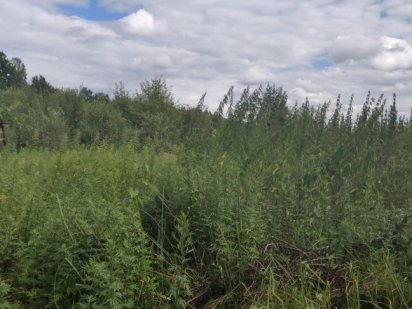 Земля 6 сот, Автобазар,20 хв від міста, з каліткою в ліс, озерами Ивано-Франковск