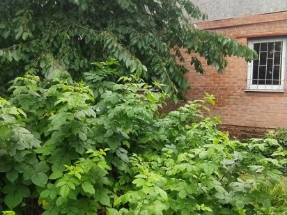 Продажа участка на Юровке Полтава