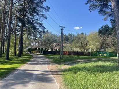 Земельна ділянка в сосновому лісі (Колонщина) Ірпінь