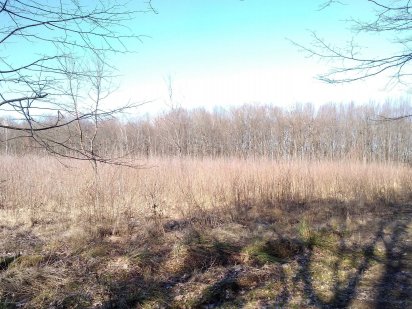 Земельна ділянкабіля Івано Франківська Ивано-Франковск